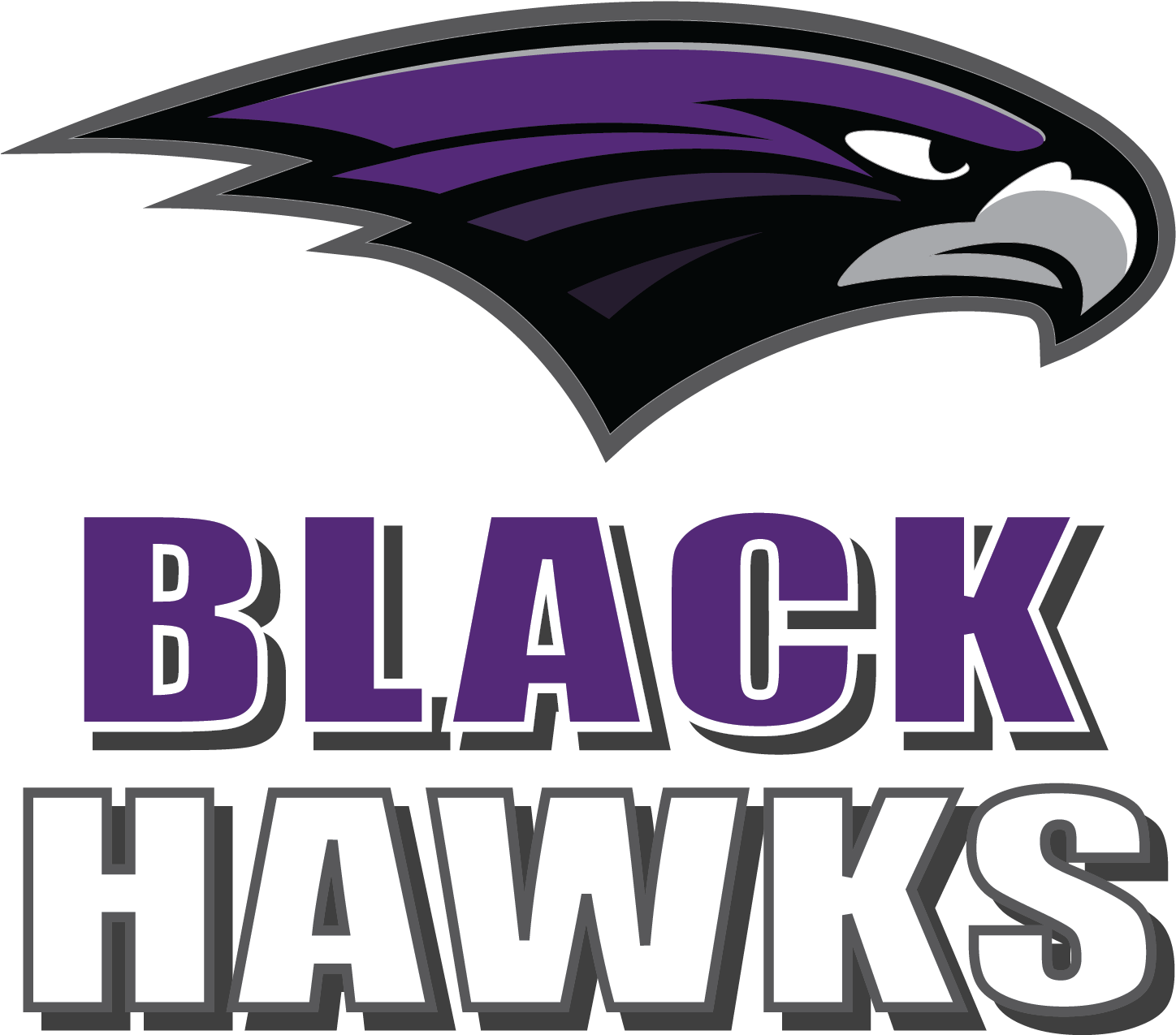 Bh Black Hawks - Bloomfield Hills Blackhawks (1650x1650)