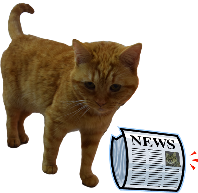 Want To Know Whats Going On At Bcr Sign Up For Our - Rasfa (401x391)