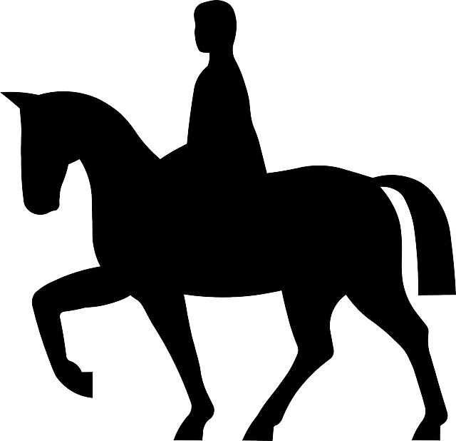 Horse Riding Clipart - Horse Riding Vector (640x618)