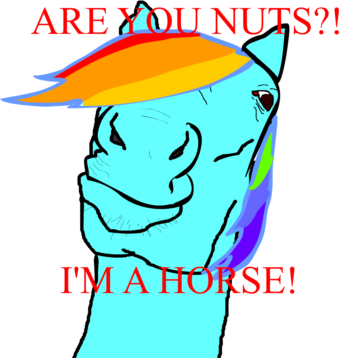 Im A Horse Rainbow Dash Applejack Horse Fluttershy - Attitude Wallpapers For Mobile (1200x1224)