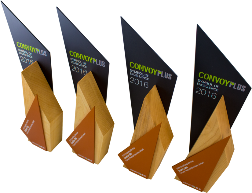 Convoy Plus Excellence Awards Custom Eco Friendly Design - Award (1000x692)
