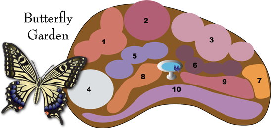 Garden Design With Hollandia Nurseries Top Garden Center - Designing A Butterfly Garden (561x260)