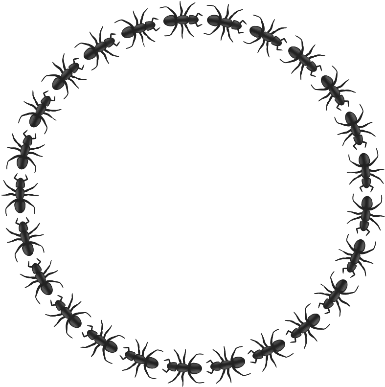 Ant Border Cliparts - Circle Border Design Black And White (796x800)
