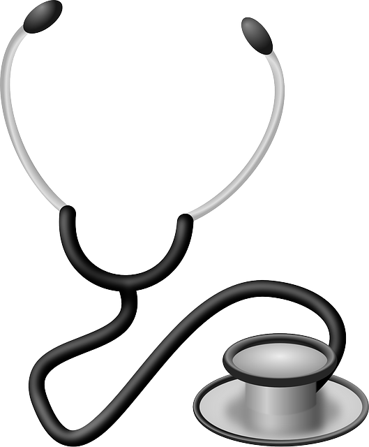 Health And Wellness Service - Cartoon Stethoscope Doctor (529x640)