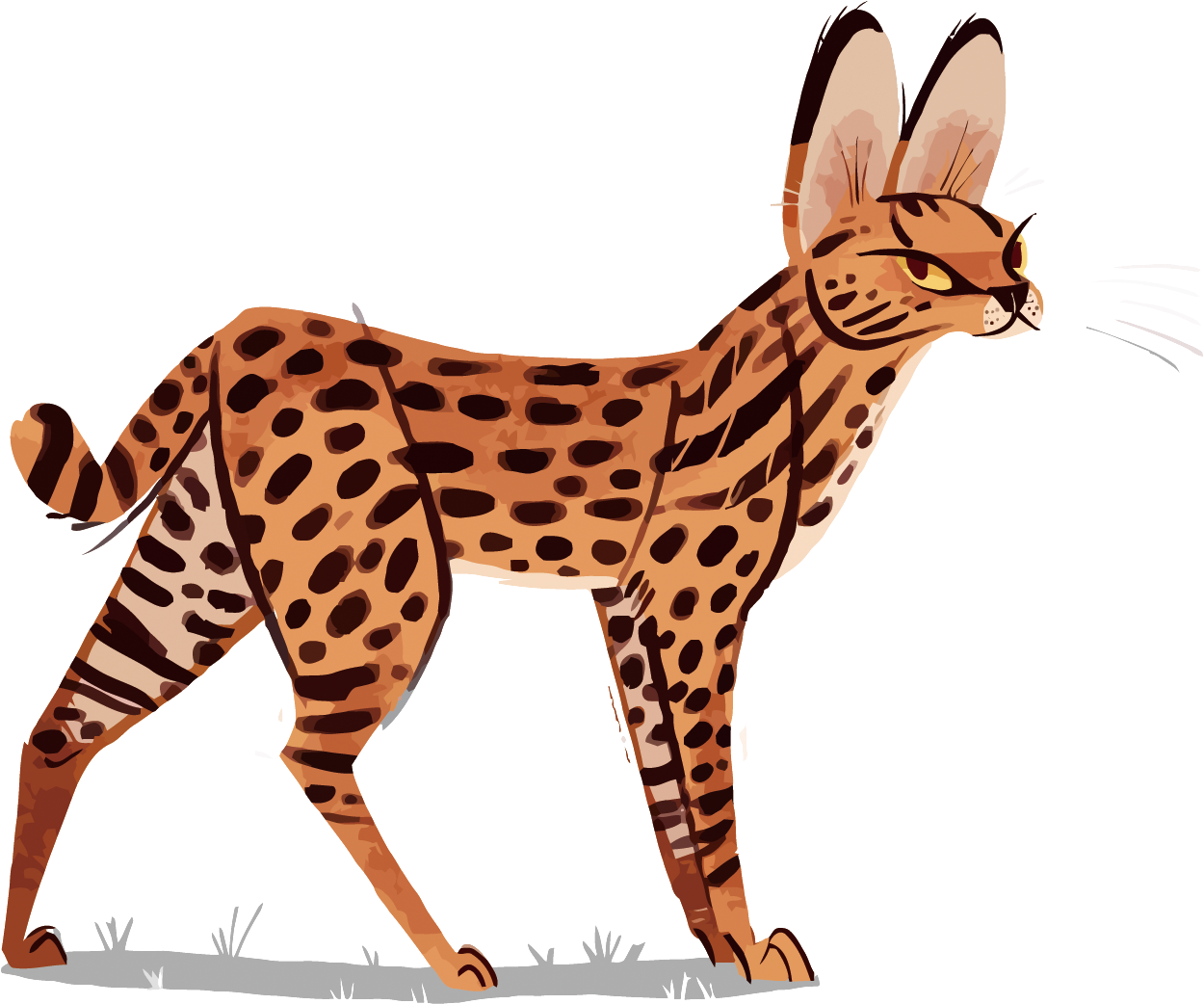 Ocelot Cheetah Leopard Serval Illustration - Serval Deviantart (1500x1170)