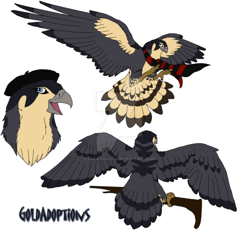 Peregrine Falcon For Kaylin540 By Taraviadopts - Peregrine Falcon Anime (900x810)