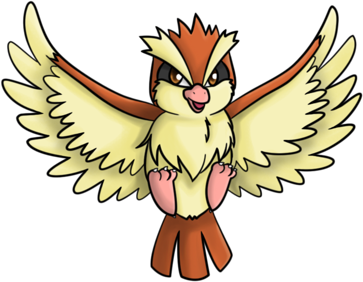 016 - - Pokemon Pidgey (900x725)