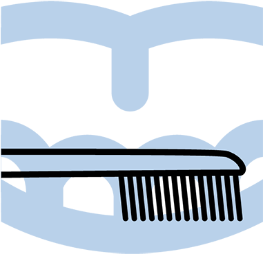 In Fact, The Evening Brush Can Be Even More Important - In Fact, The Evening Brush Can Be Even More Important (380x380)