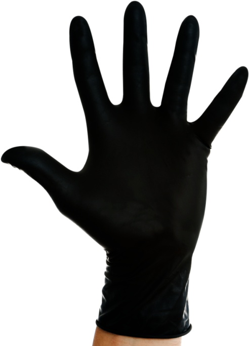Download Free Photo Report - Safepoint Gn530 Zircon Disposable Nitrile Exam Gloves, (500x687)