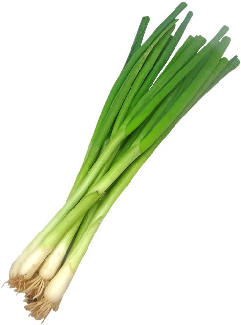 Spring Onion / ต้นหอม - Spring Onion Png (563x720)