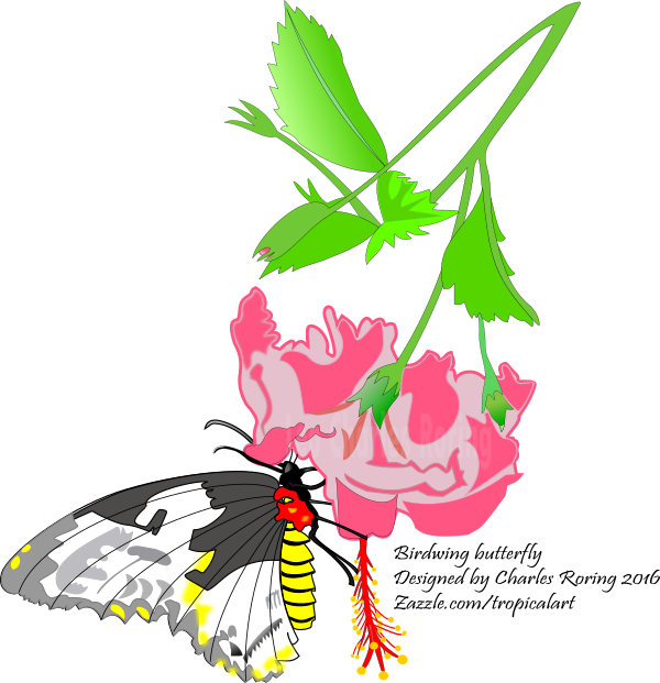 It Is Not Easy To Make Digital Drawing - Birdwing Butterfly Large Tote Bag, Natural, Large (600x621)