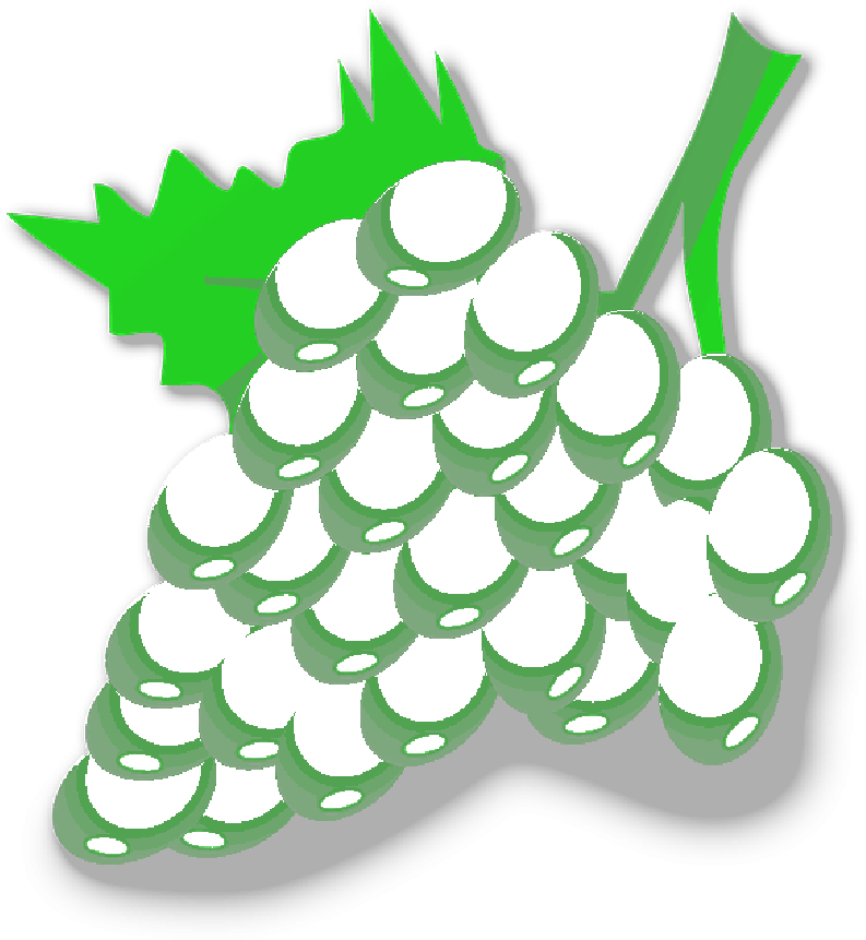 Noodle - Custom Purple Grapes Shower Curtain (800x869)