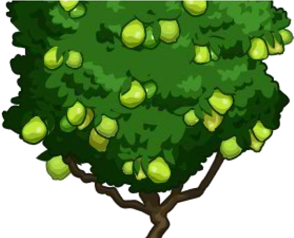 Guava Clipart Guava Plant - Guava Tree Farmville (640x480)
