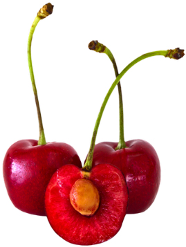 We Are Importing Various Products Under Fruits, Vegetables, - Photograph (500x385)