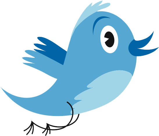 Community Manager Twitter - Twitter Bird (578x475)