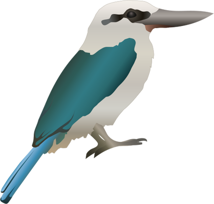 Ian Symbol Todiramphus Chloris - Blue-footed Booby (418x400)