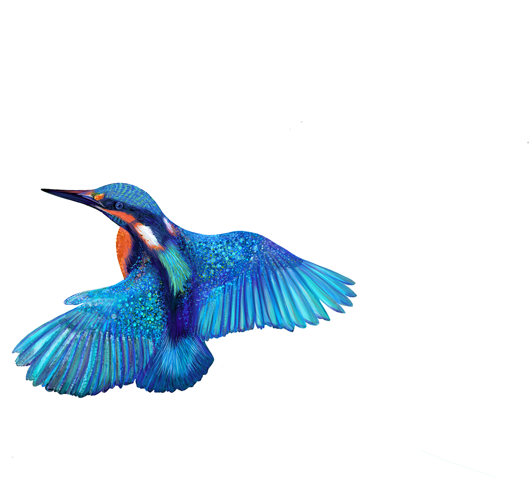 Cathy Is A Freelance Digital Illustrator And Portrait - Bee Eater (1060x958)