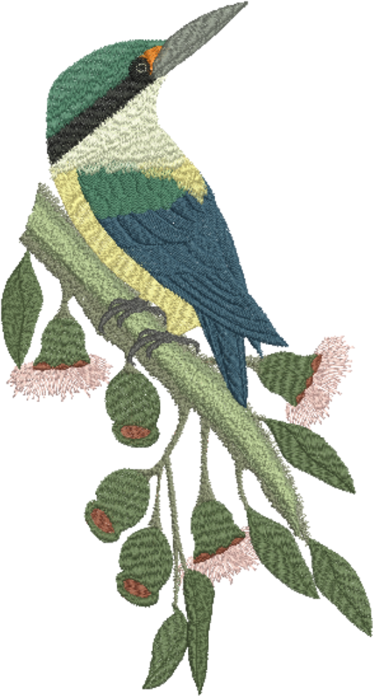 Sacred Kingfisher - Png - Sacred Kingfisher - Png (1000x1000)