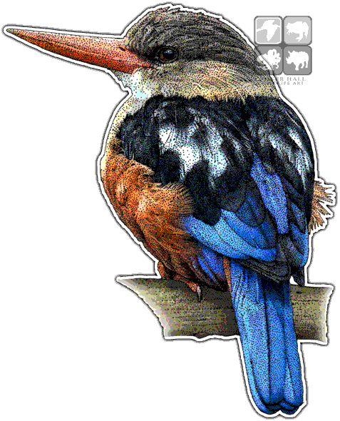 Grey-headed Kingfisher Decal - Kingfishers Of The World Throw Blanket (477x590)