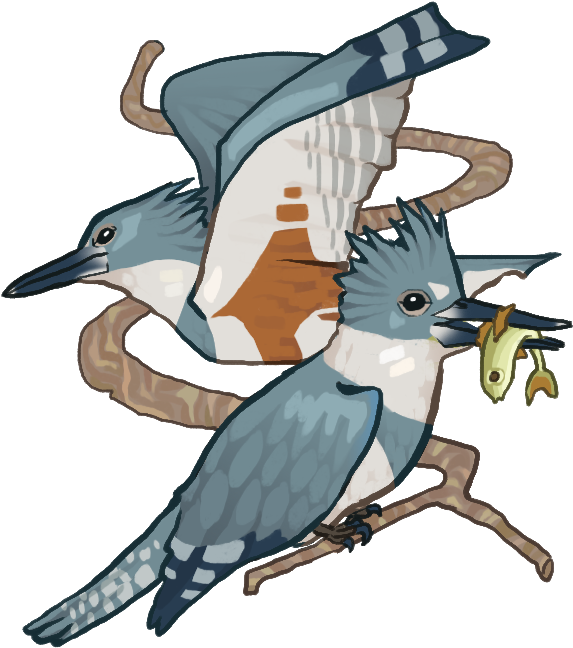 Kingfisher Pop Up Copy - Portable Network Graphics (867x1080)