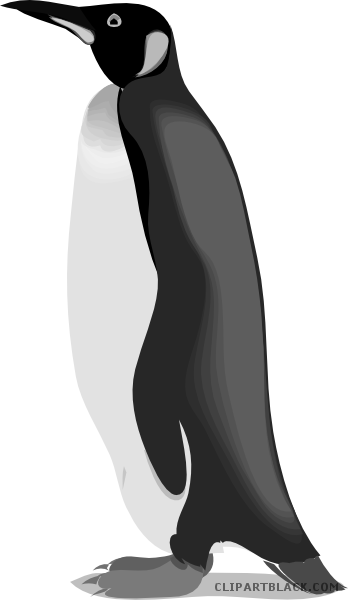 Emperor Penguin Animal Free Black White Clipart Images - Pingouin Dessin De Cote (348x600)
