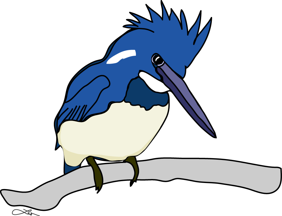 The Belted Kingfisher Keeps Me Company All The While - Seabird (928x713)