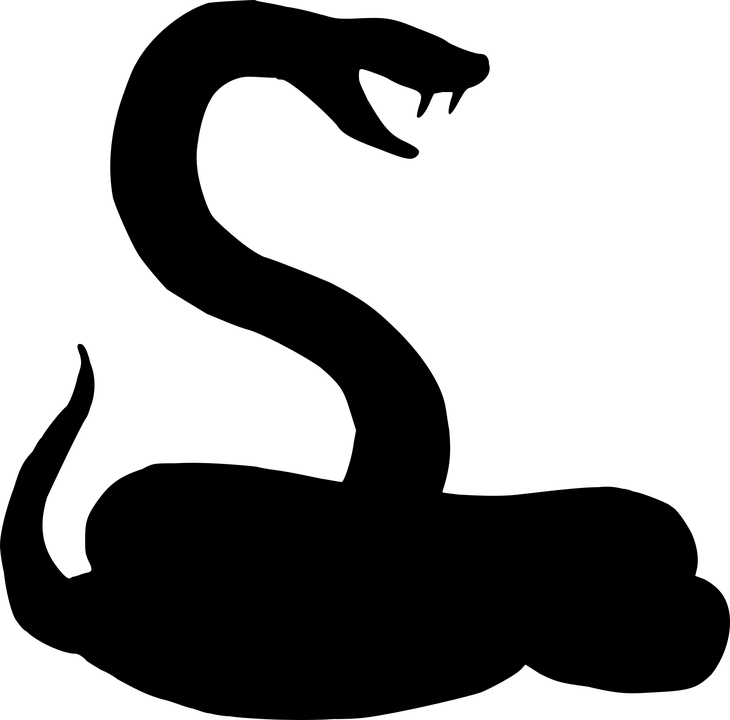 Character Synopsis - Snake Silhouette (730x720)
