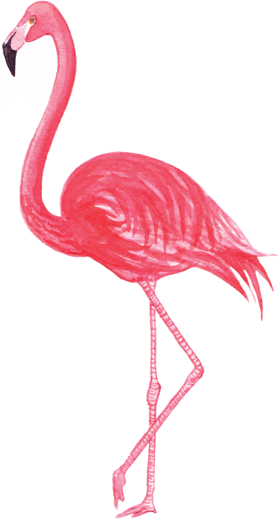 Flamingo - Pretty In Pink Stadium Blanket (488x800)