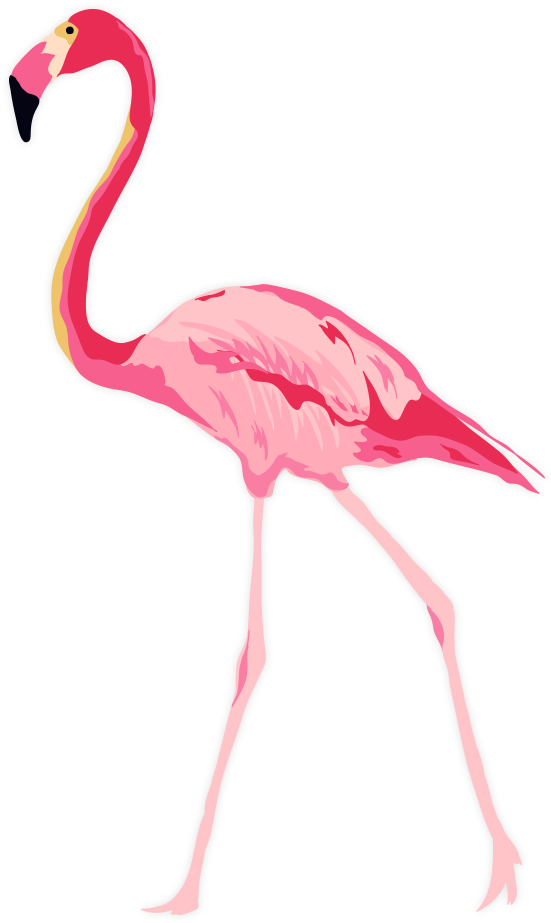 Explore Best Cellars - Flamingo Birthday Invitation Template (620x973)