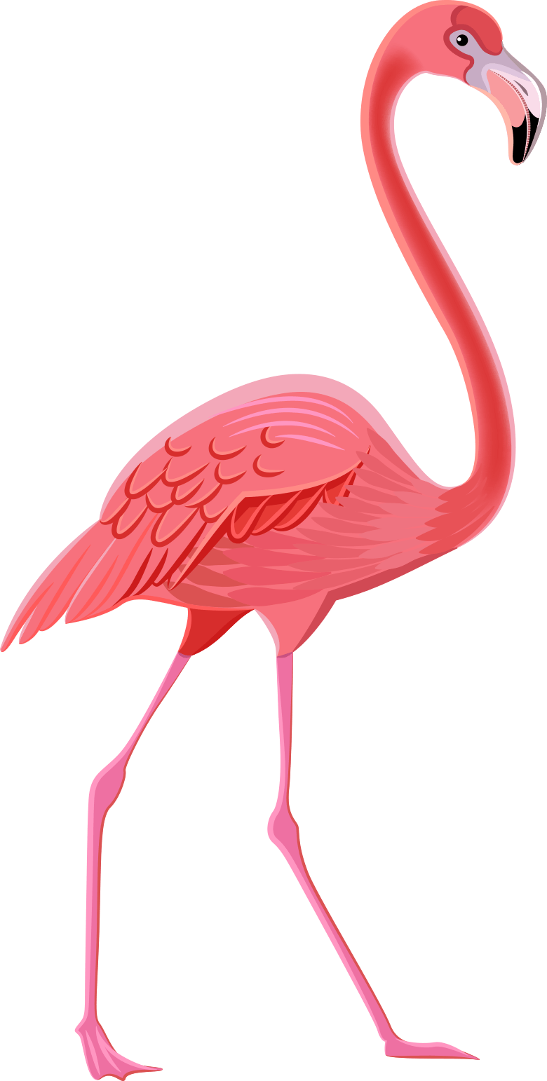Flamingo - Totens De Flamingo (780x1542)