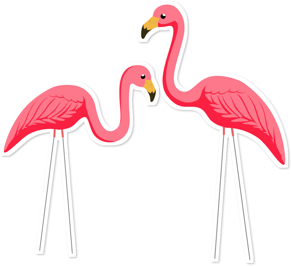 Bora Se Amá De Mathna - Greater Flamingo (962x962)
