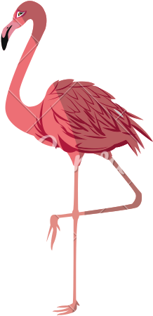 Pink Flamingo Vector - Flamingo Vector (550x550)