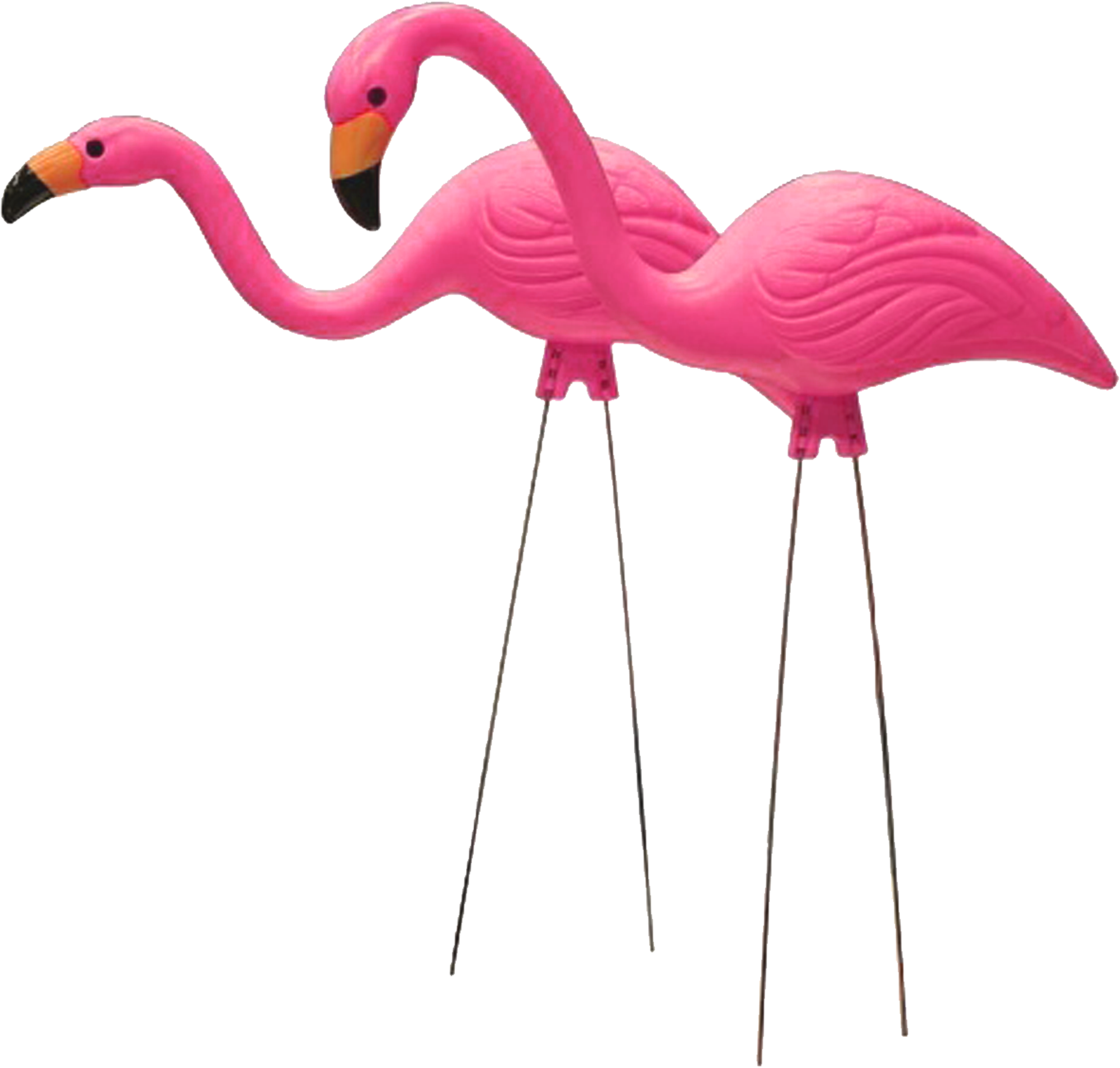 Pink Flamingo Yes - Pink Flamingo Yes (4000x3879)