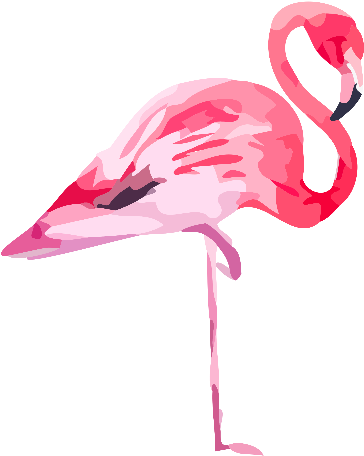 Also Available As - Flamingo Png (612x865)