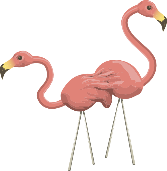 Npc Flamingo - Flamingo Gifs (582x595)