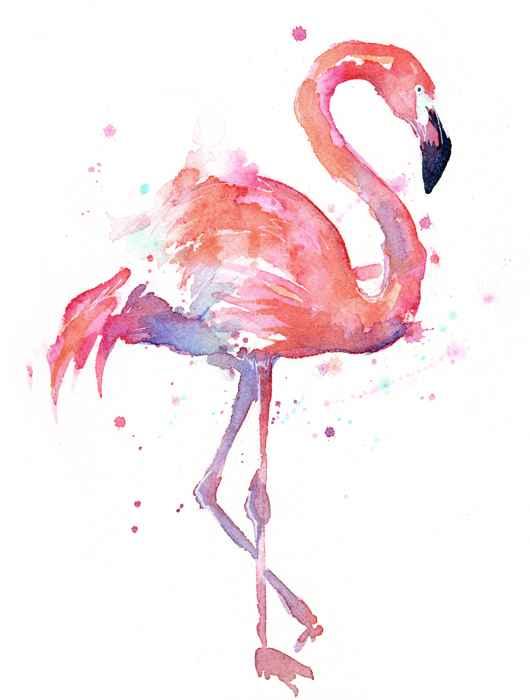 Flamingo Watercolor Facing Right Women's T-shirt For - Love Flamingo (530x700)