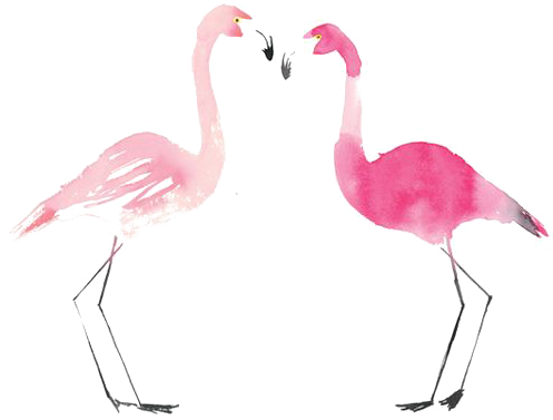 Flamingo Bird Drawing Painting - Flamingos (564x564)