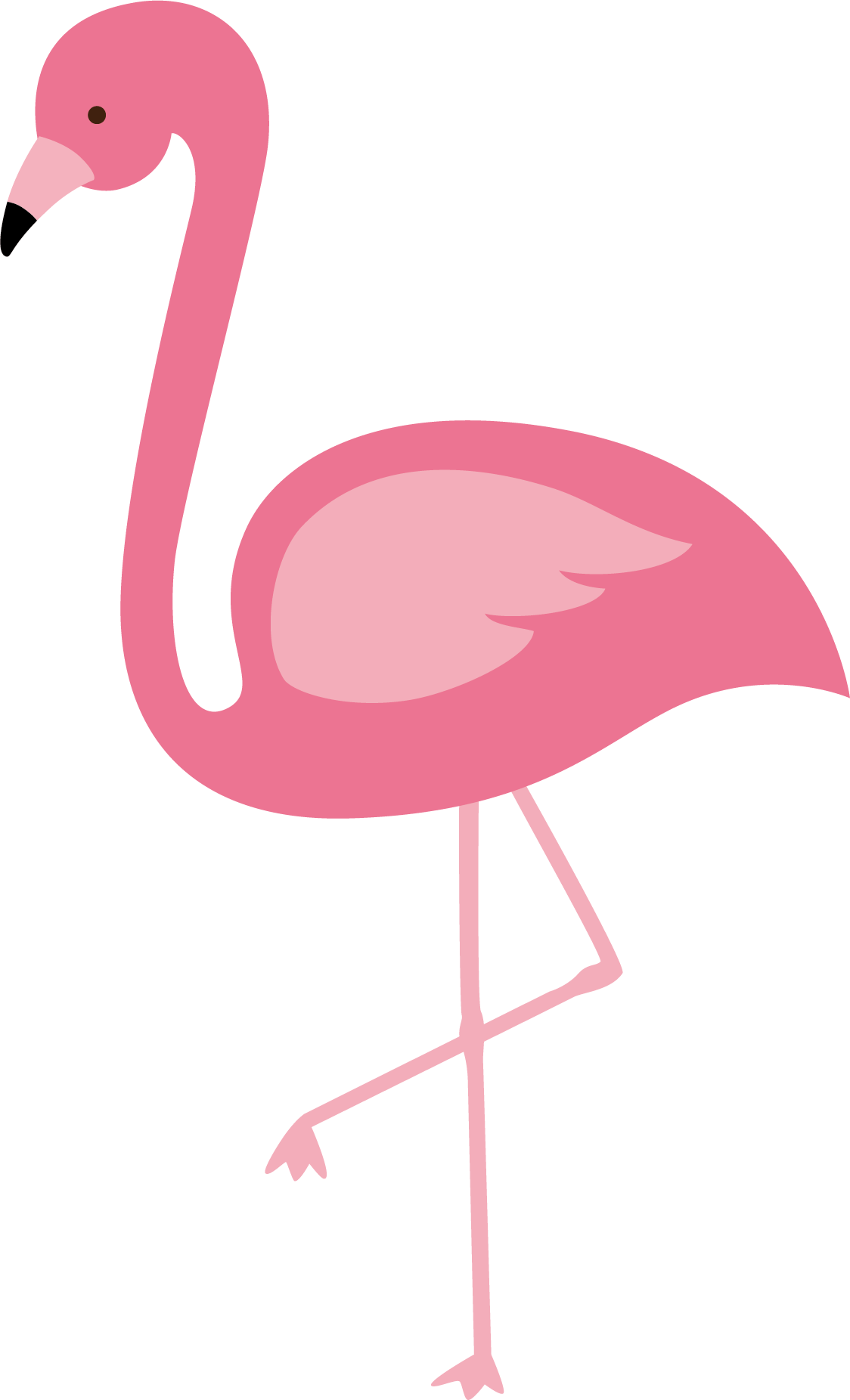Flamingos Bird Euclidean Vector - Flamingo Png (1124x1852)
