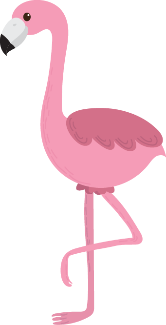 W Flamingo - Animales Con La Letra F (341x666)