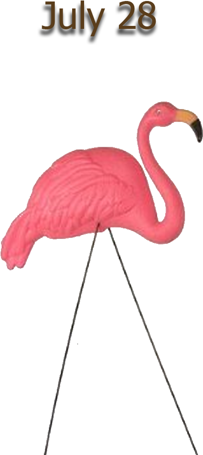 Flamingo - Bright Pink Flamingo Yard Ornament (1050x1050)