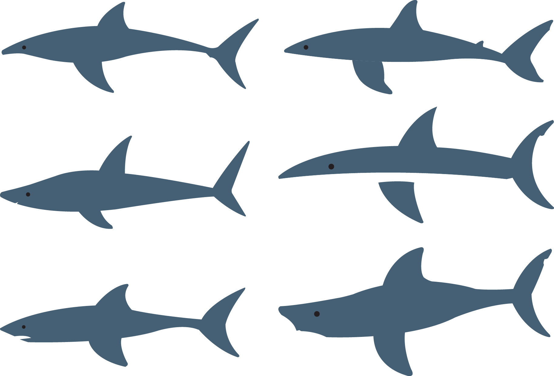 Shark Fish Clip Art - Clip Art (1825x1240)