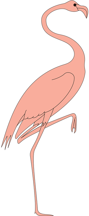 Flamingo Png 24, Buy Clip Art - Flamingo Bath Mat - 17" X 24" (360x720)