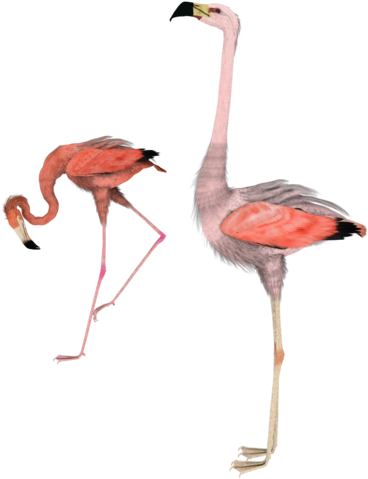 Side Flamingo 3d Stock Pngs By Madetobeunique - Flamingo Side (600x480)
