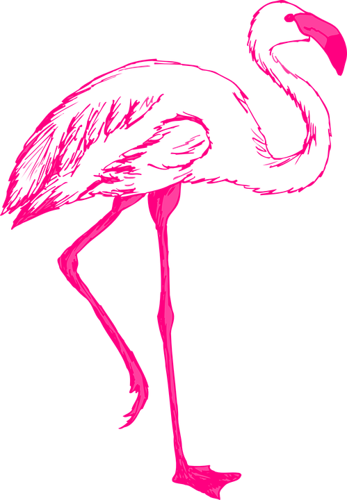 Flamingo Png 15, Buy Clip Art - Flamingo Clip Art Transparent Background (499x720)