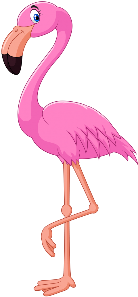 Free Png Flamingo Png Images Transparent - Flamingo Clipart Png (480x1031)