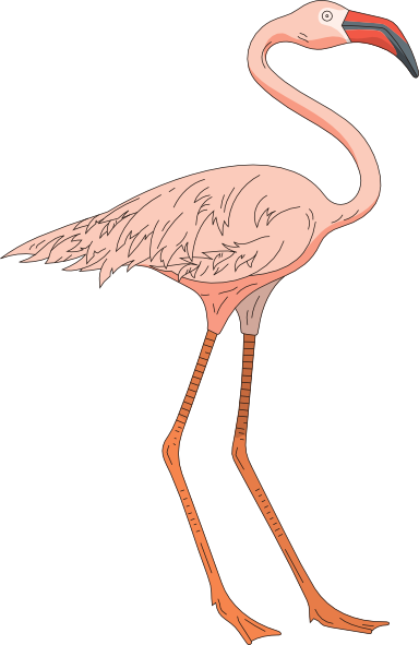 Small - Flamingo Legs Png (384x591)