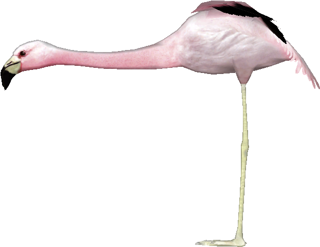 Flamingoandean Lgcfm - Spoonbill (626x626)