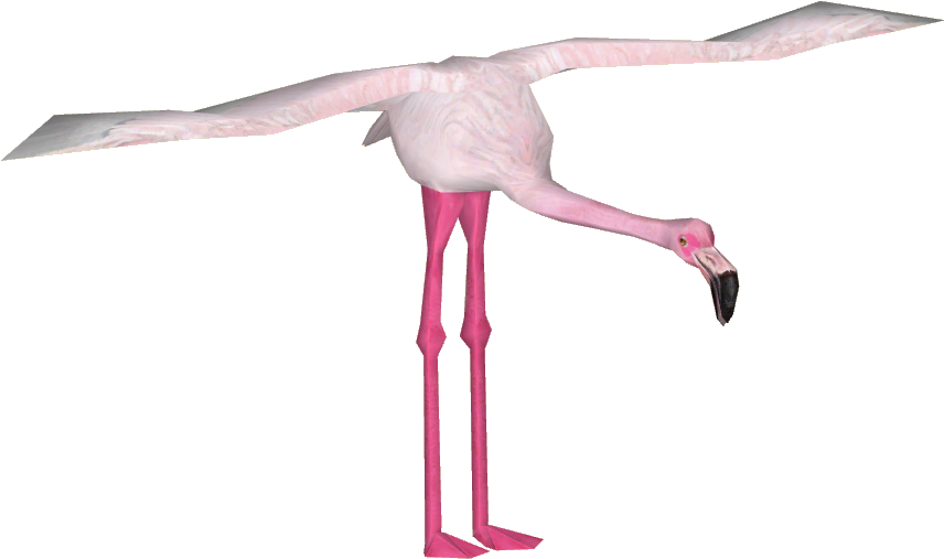 Lesser Flamingo - Spoonbill (855x855)