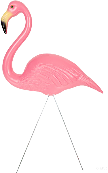 Lawn Flamingo Clipart (398x600)