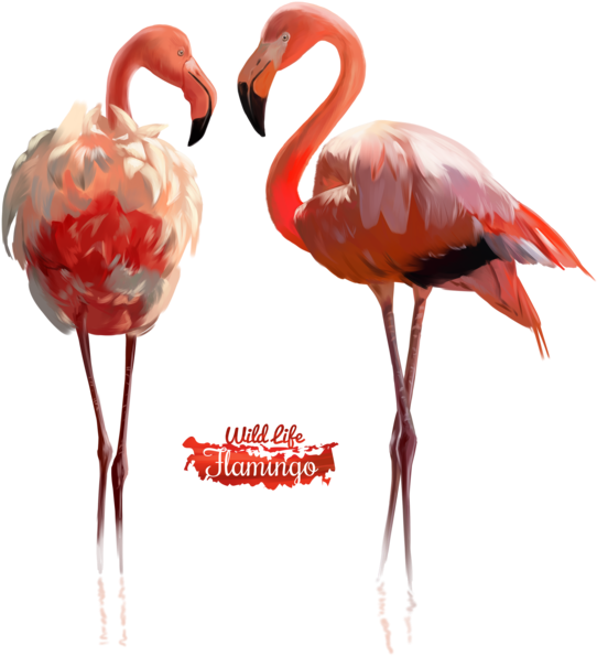 Pink Flamingo Watercolor Illustration By Kajenna - Flamingo Watercolor (600x625)